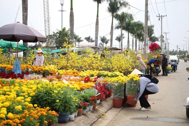 cho-hoa-tet-trung-pham-17343381136691785613101 Chợ hoa Tết Cần Thơ miễn tiền thuê mặt bằng, tiền điện, nước - Ảnh 1.
