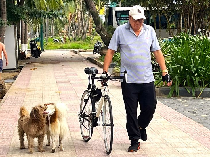 Chó thả rông tràn lan ở bờ biển Nha Trang, du khách mong có thêm đội bắt chó thả rông - Ảnh 1. Chó thả rông tràn lan ở bờ biển Nha Trang, du khách mong có thêm đội bắt chó thả rông - Ảnh 1.